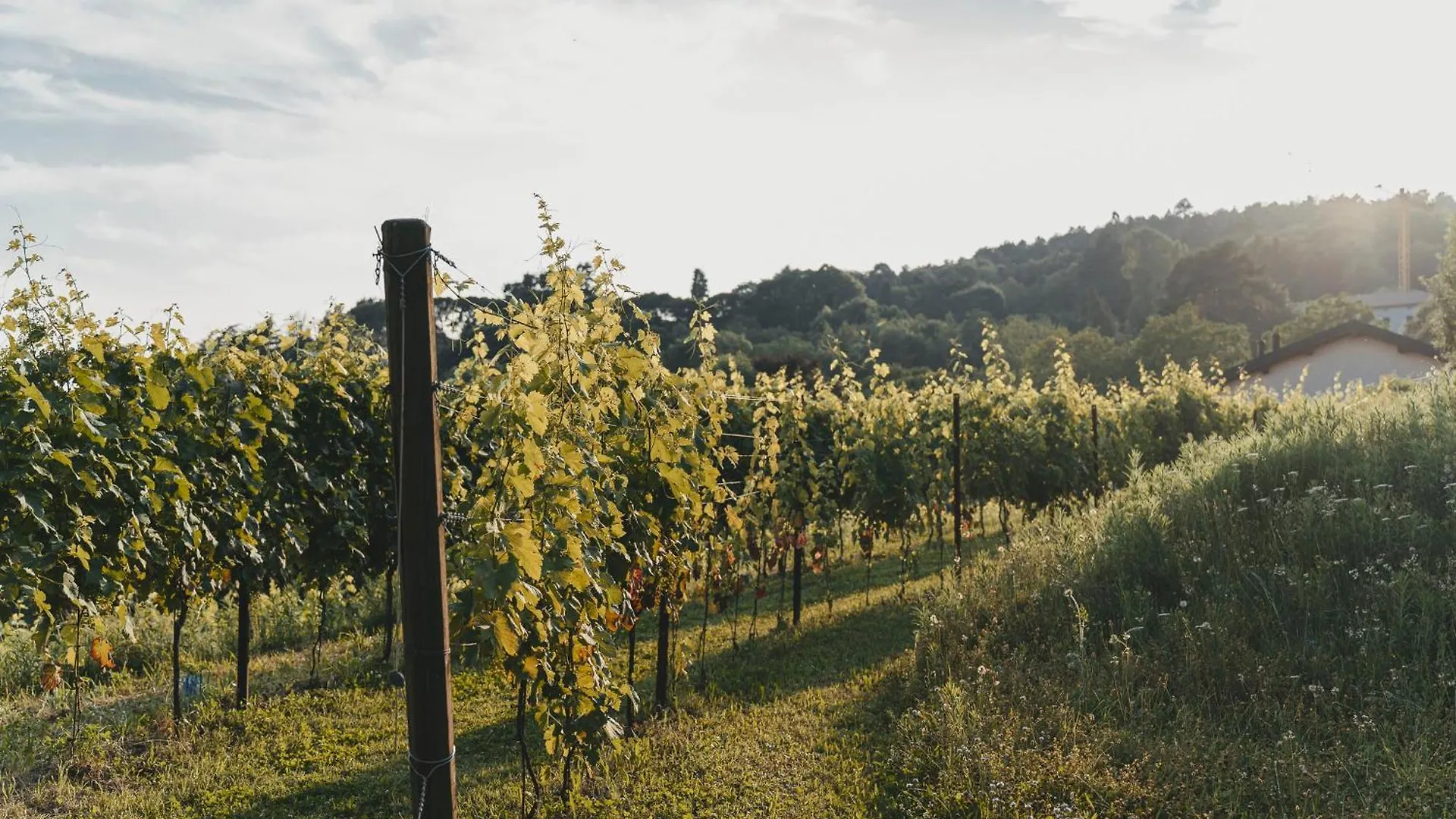 Tenuta Ronco Regio San Fermo della Battaglia Italie